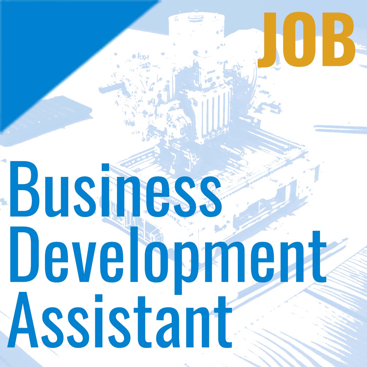 Offerta di lavoro: business development assistant